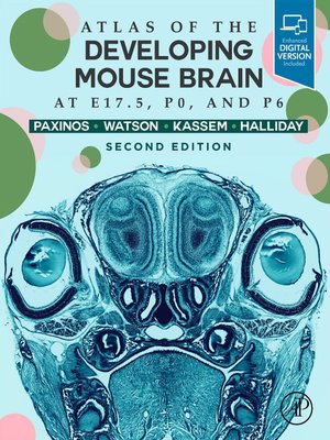 cover image of Atlas of the Developing Mouse Brain
